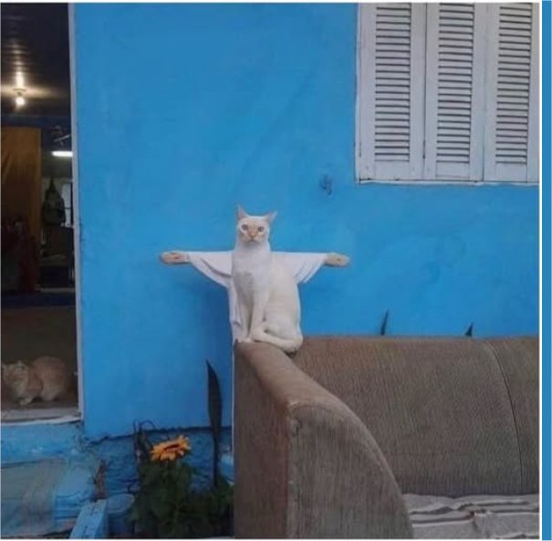 the redeemer caturday majorgeeks.jpg